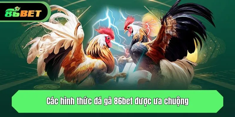 Các hình thức đá gà được ưa chuộng tại 86bet