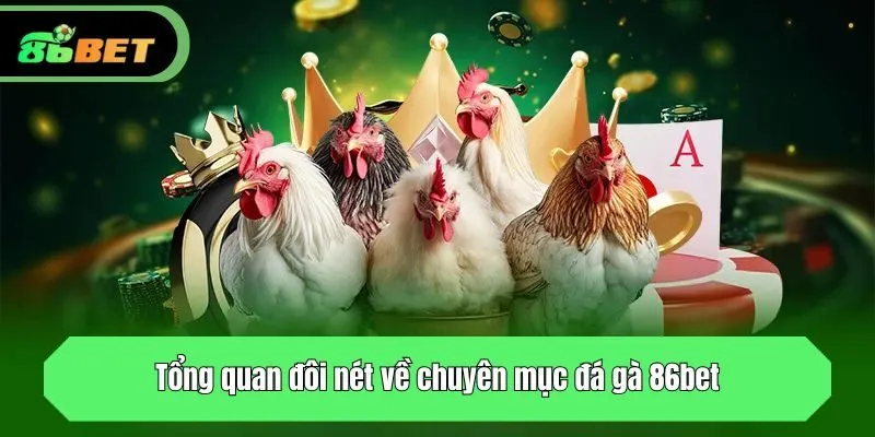Tổng quan đôi nét về chuyên mục đá gà 86bet